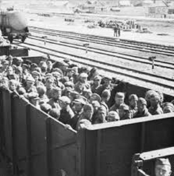 Рисунок 2. Транспортировка советских военнопленных в грузовых вагонах 21 сентября 1941 г. Федеральный архив Германии